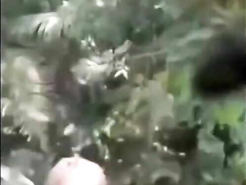 Man uses tree as cover during chaotic street fight