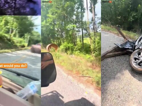Truck hits a tree after near-miss with a car