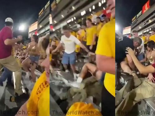 Fan gets punched repeatedly