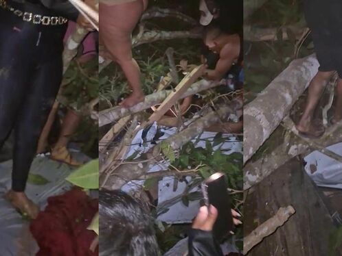Man struggles with chainsaw in dense thicket