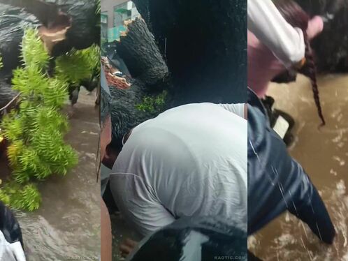 Man catches turtle in aquarium full of green plants