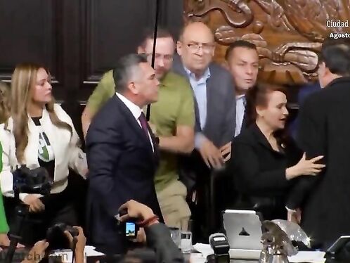 Senators clash in fist fight