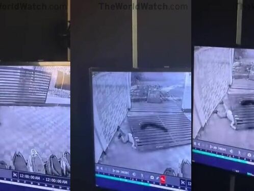 Guard trapped under huge iron gate