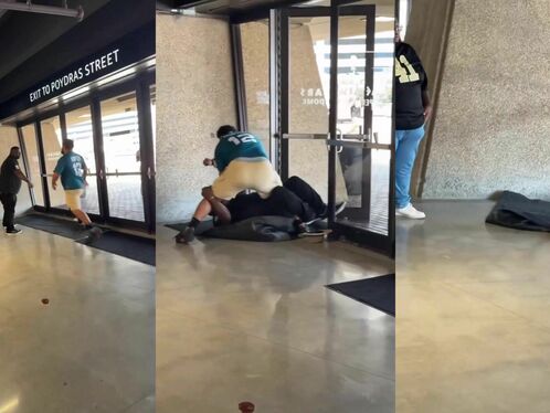 Fan attacks security guard