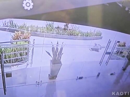 Man slips and falls from balcony, tumbles down many stories