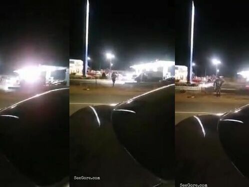 Dog suddenly runs in front of car at night
