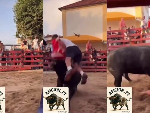 Man gets tossed by bull during public event