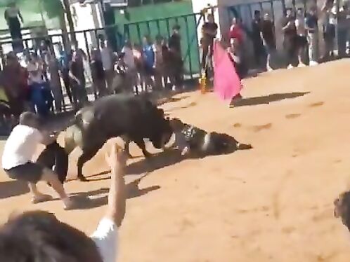 Man gets trampled by bull during running of the bulls