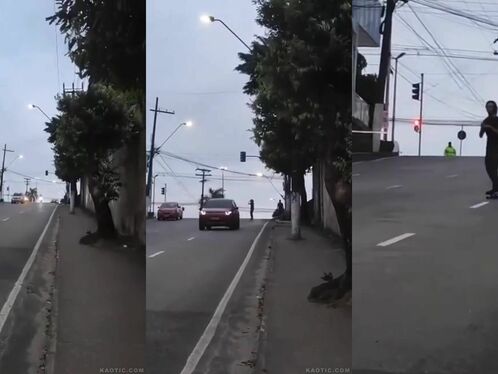 Dog chases its tail and gets hit by a car