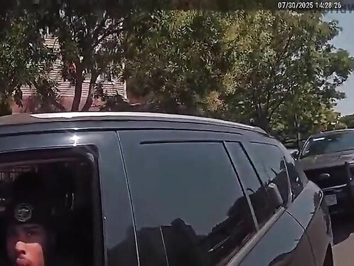 Mayor fires employee for tasing trooper