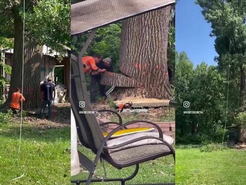 Two men cut down a tree next to a bench