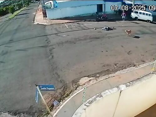 Man drives into large pothole, dogs run out