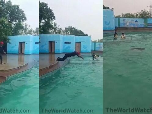Kids swim with sea creature in large pool