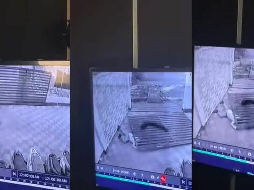 Guard killed by falling gate