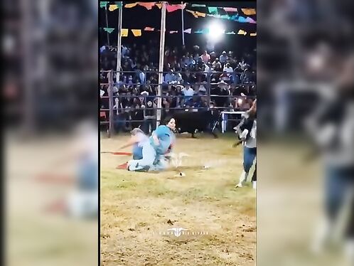 Dog interrupts rodeo event, steals the show