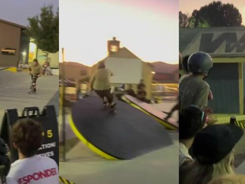 Bear sneaks onto skatepark in the evening