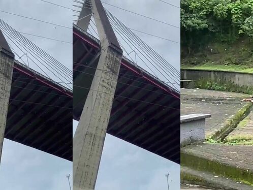 Man leaps to his death from bridge