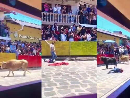 Man gets trampled by bull during public event